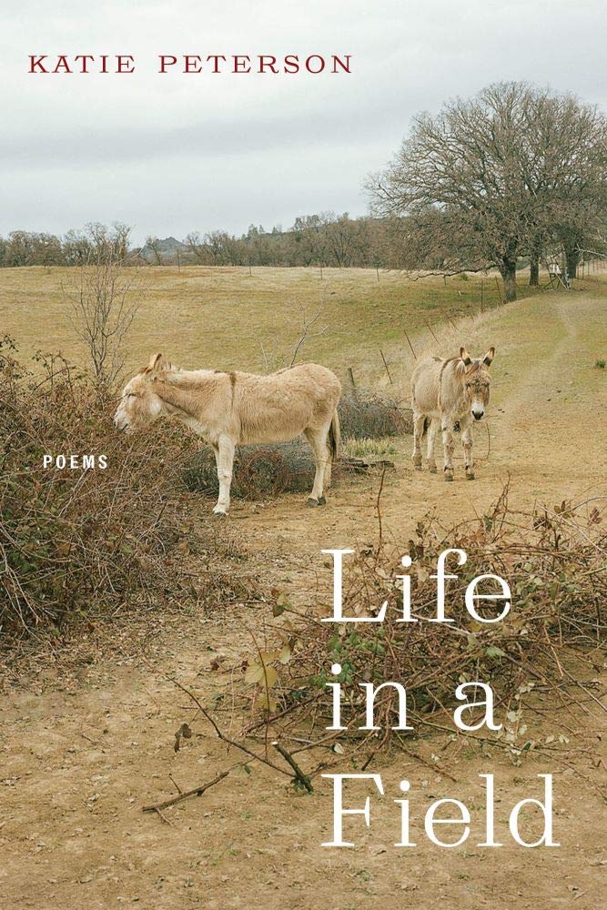 Life in a Field front cover