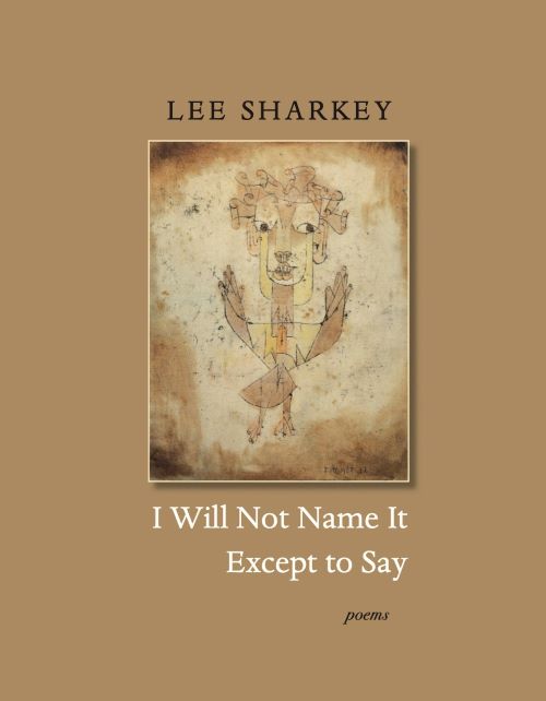 Cover of I Will Not Name it Except To Say