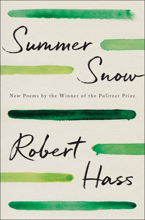 Cover of Summer Snow