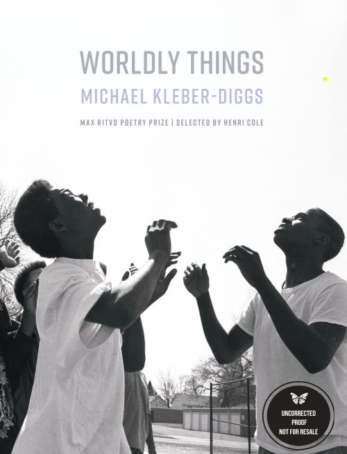 Cover of Worldly Things