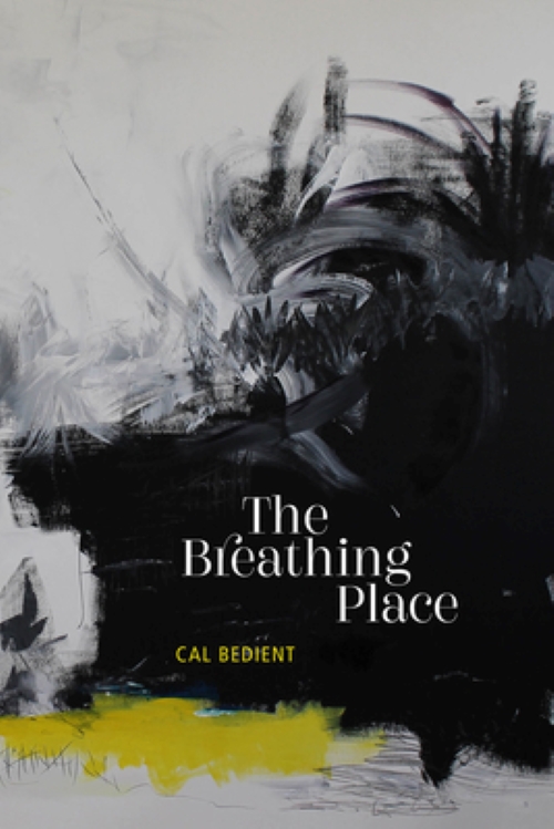 Cover of The Breathing Place