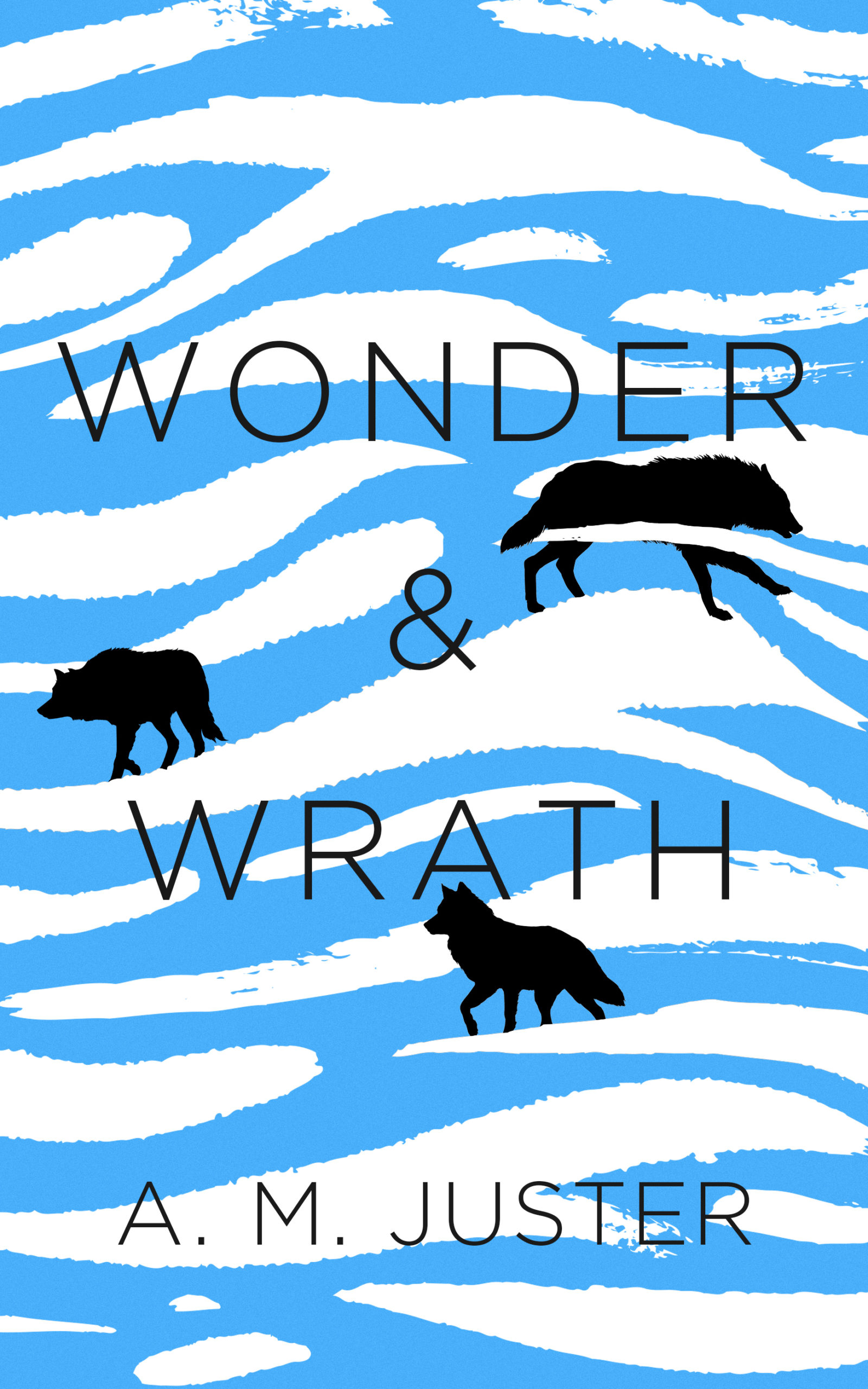 Cover of Wonder & Wrath