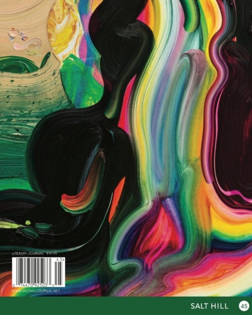 Cover of Salt Hill Journal Issue 45