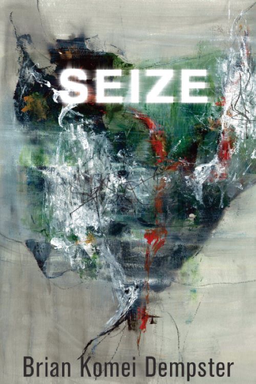 Cover of Seize by Brian Dempster