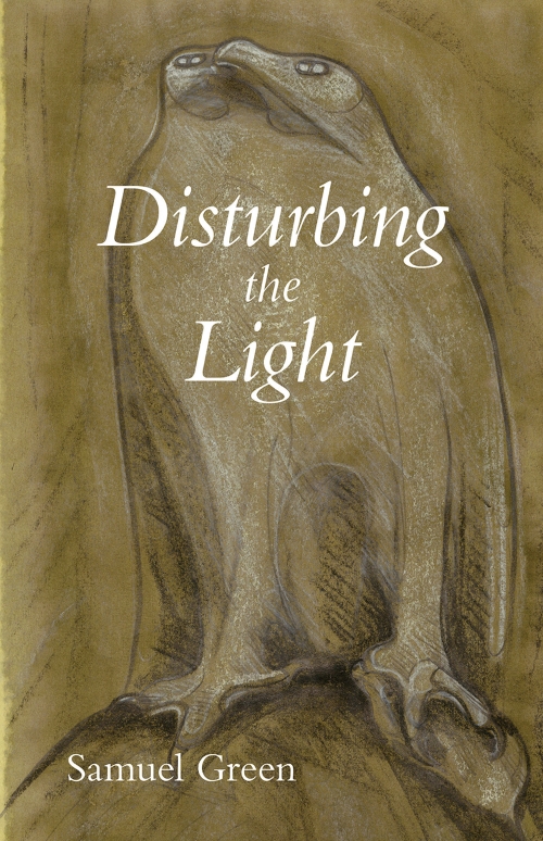 Cover of Disturbing the Light