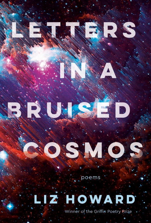 Cover of Letters in a Bruised Cosmos