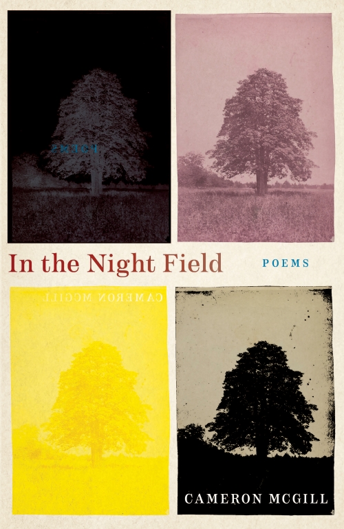 Cover of In the Nightfield