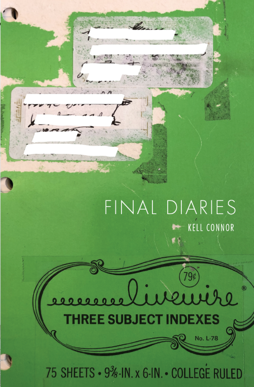 Cover of Final Diaries