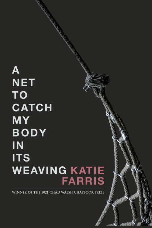 cover of A Net to Catch My Body in Its Weaving