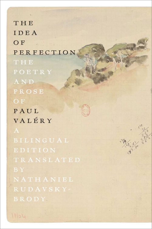 cover of The Idea of Perfection