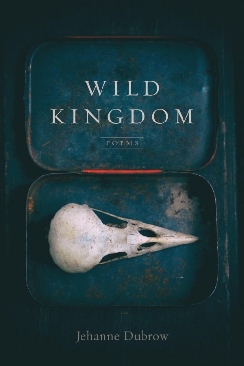 Cover of Wild Kingdom