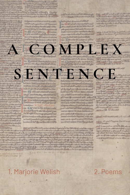 cover of A Complex Sentence by Marjorie Welish