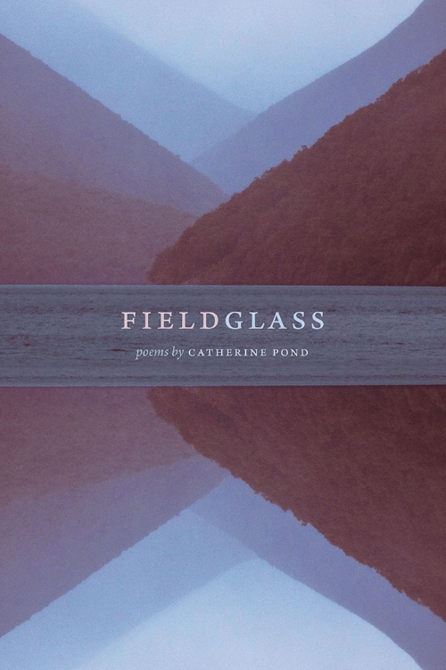 cover of Fieldglass