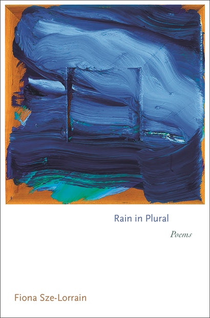 9780691203584_Rain in Plural