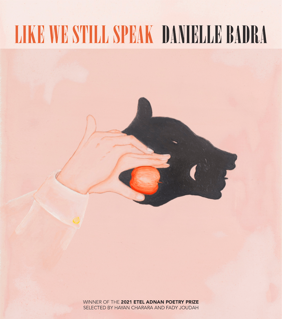 Like We Still Speak front cover