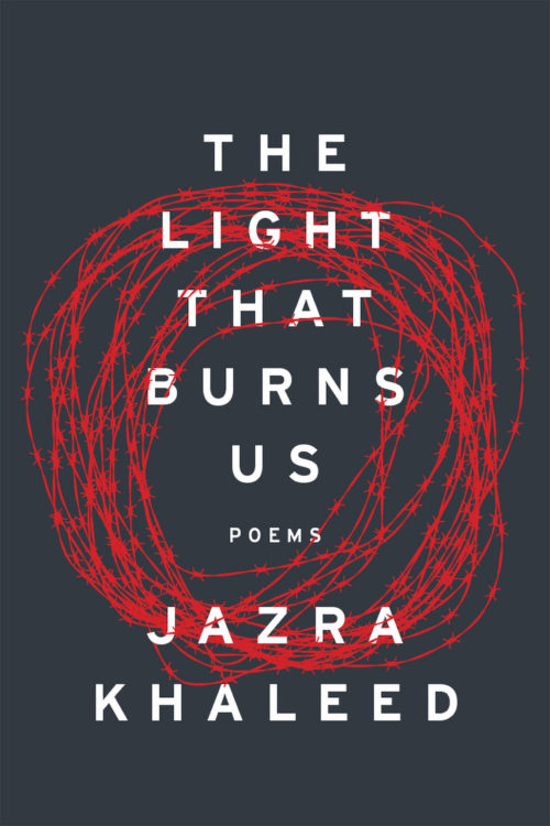 Cover of The Light That Burns Us