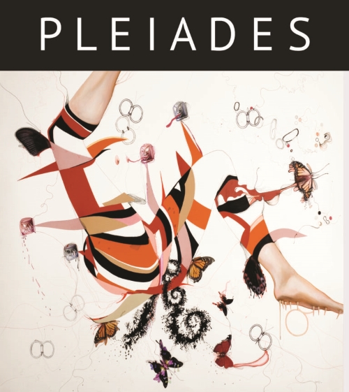 cover of Pleiades 41.2