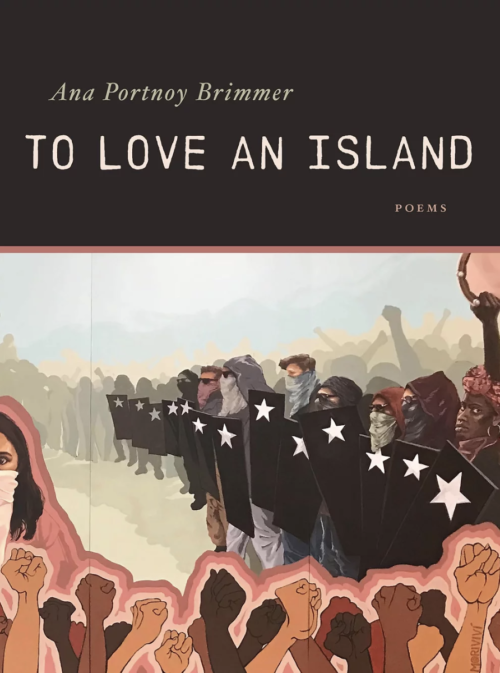 cover of to love an island