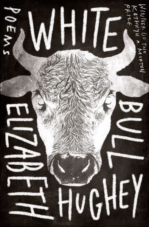 cover of white bull