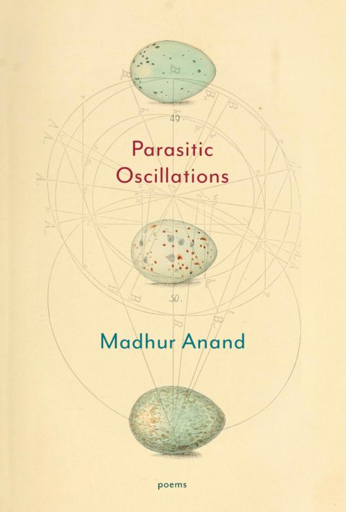 cover of Parasitic Oscillations