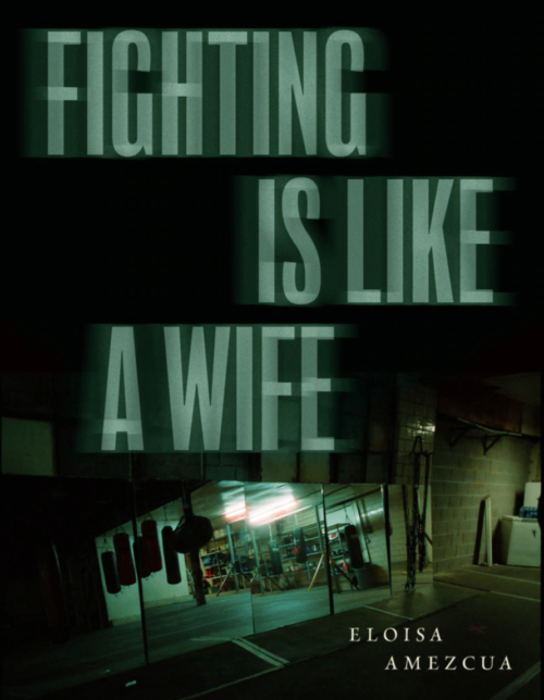 cover of fighting is like a wife