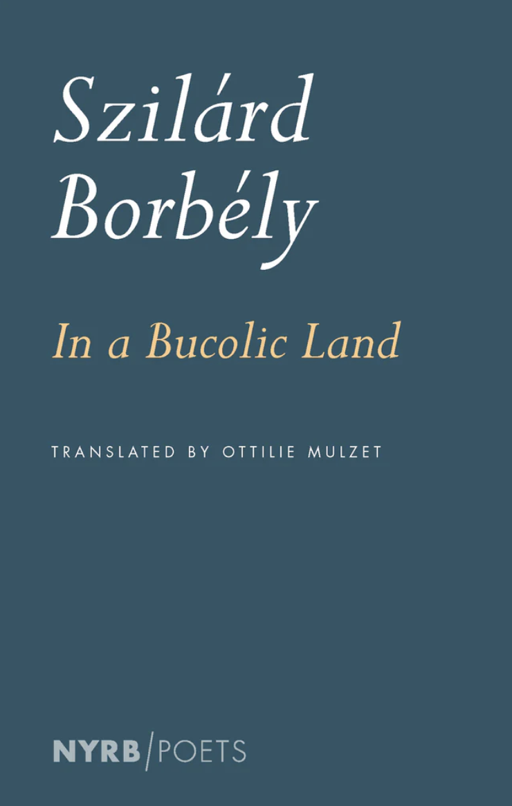 cover of in a bucolic land