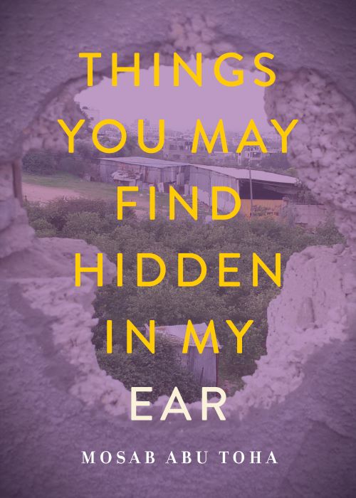 Cover of Things You May Find Hidden In My Ear