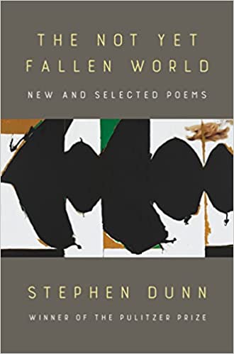 Cover of the Book, The Not Yet Fallen World