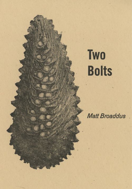 Cover of Two Bolts