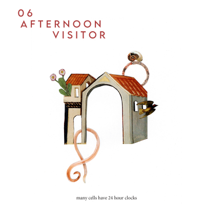 Afternoon Visitor Issue 06