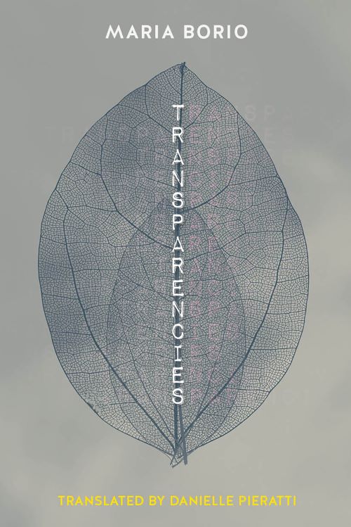 Cover of Transparencies