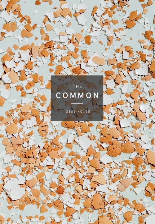 Cover of The Common 25