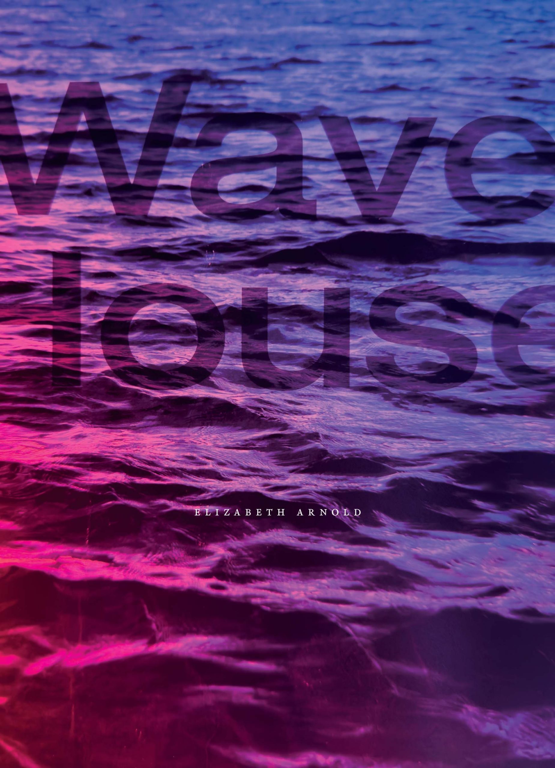 Cover of Wave House by Elizabeth Arnold