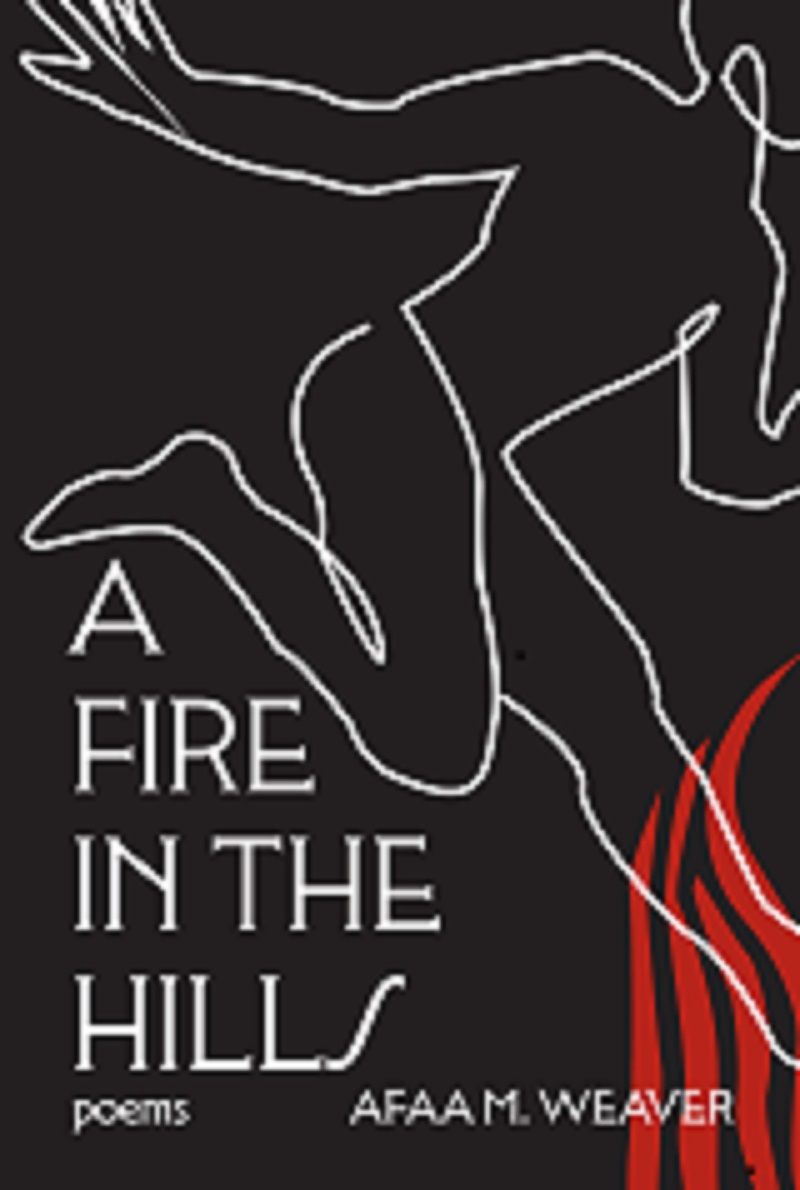 Cover of A Fire in the Hills