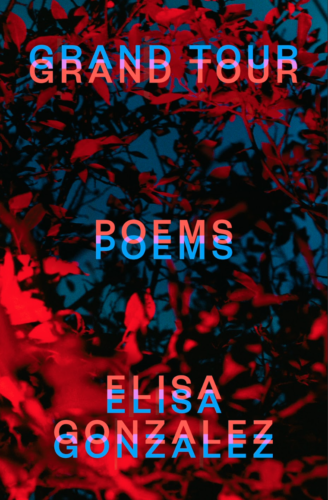 Cover of "Grand Tours" by Elisa Gonzalez