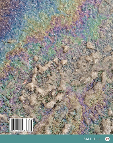 Cover of Salt Hill