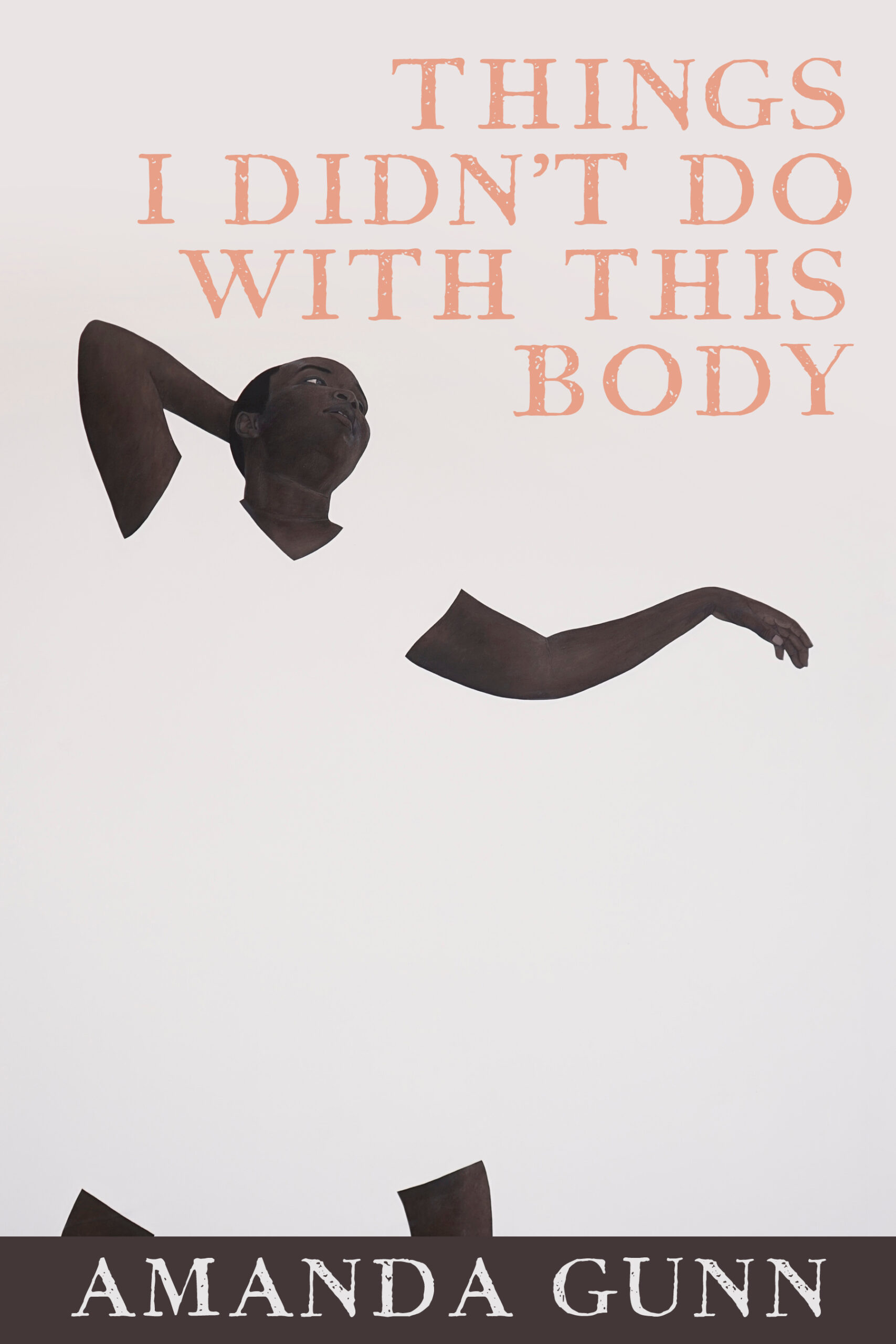 Cover of Things I Didn't Do With This Body