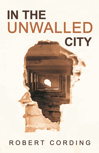 Cover of In The Unwalled City