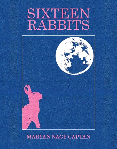 Cover of Sixteen Rabbits