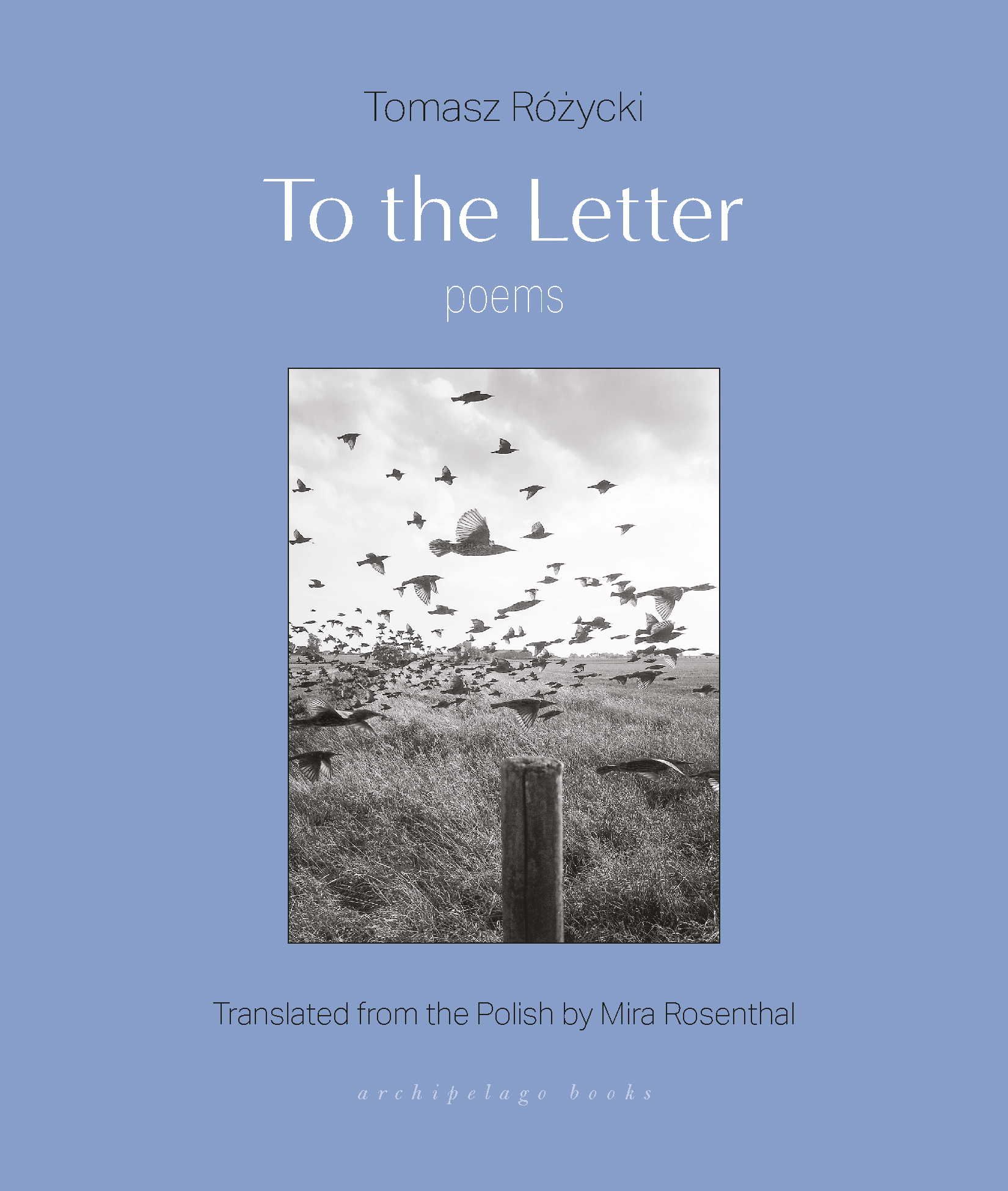 Cover of To the Letter