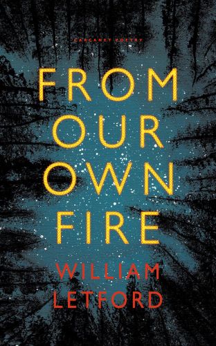 Cover of From Our Own Fire