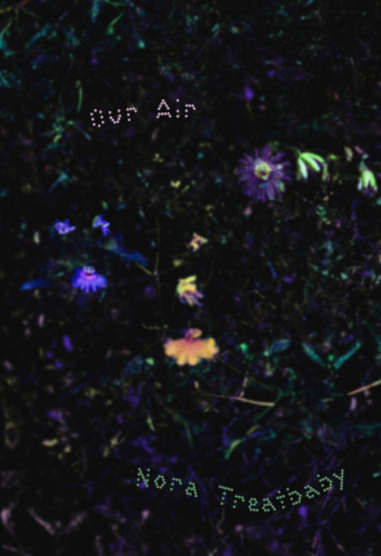 Cover of collection "Our Air"