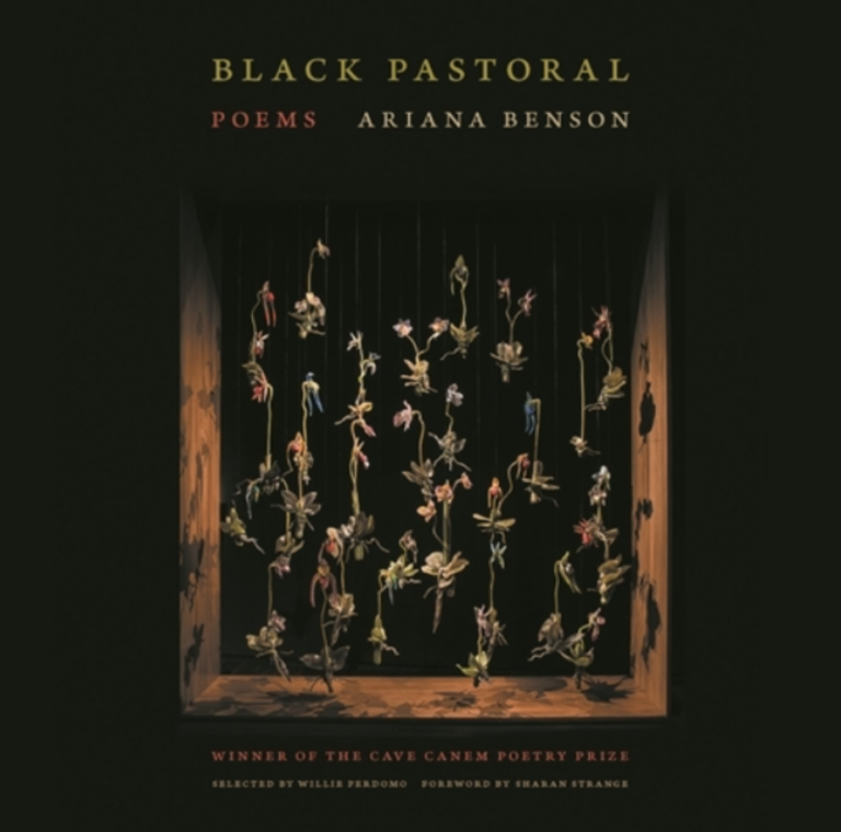 Cover of "Black Pastoral"