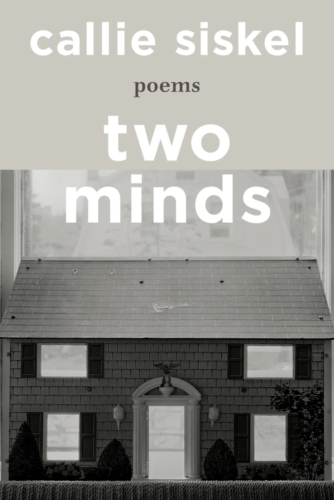 Cover of Two Minds