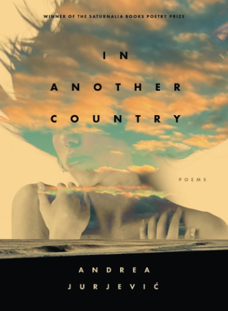 Cover of In Another Country