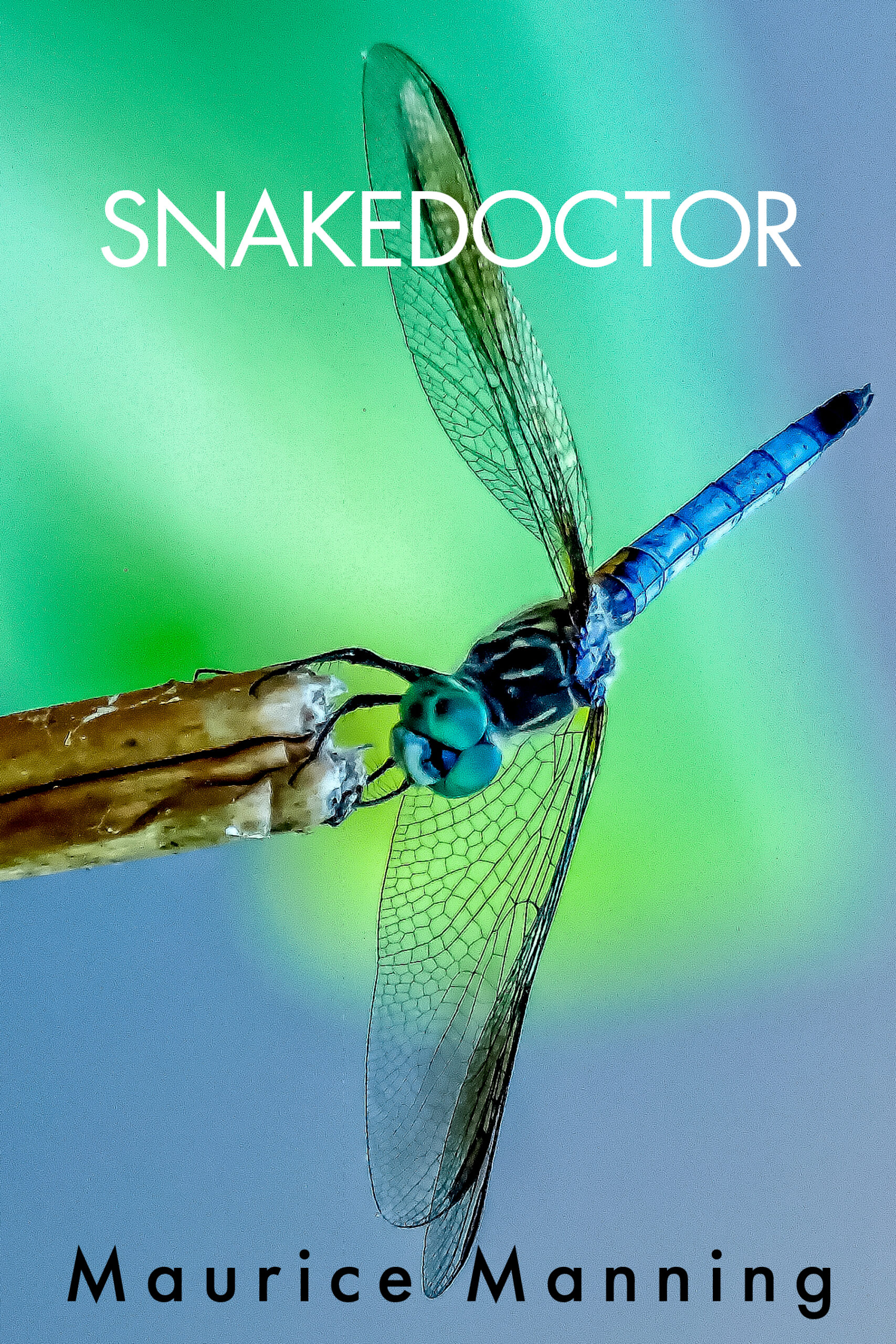 Cover of Snakedoctor