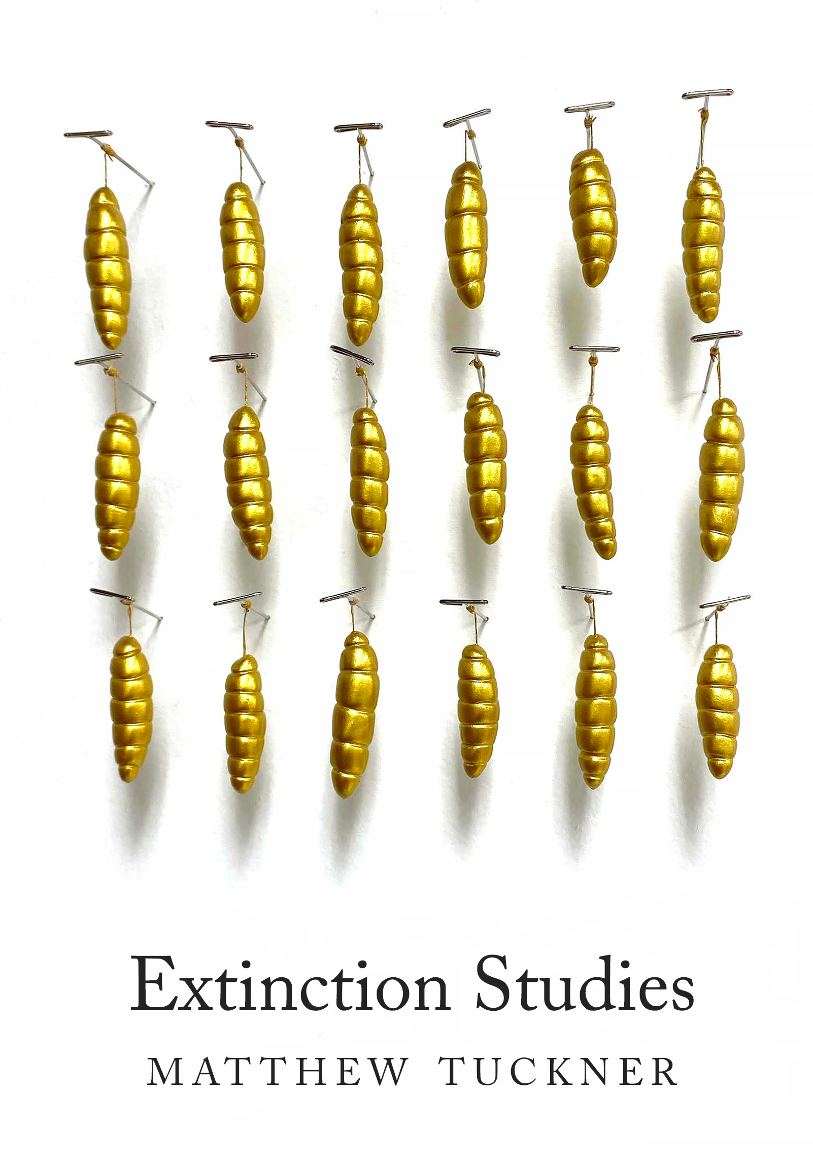 Cover of Extinction Studies