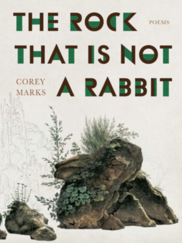 Cover of the book The Rock That is Not a Rabbit